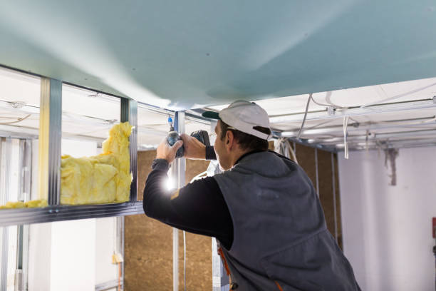 Best Geographic-Specific Insulation Services in Riverton, IL