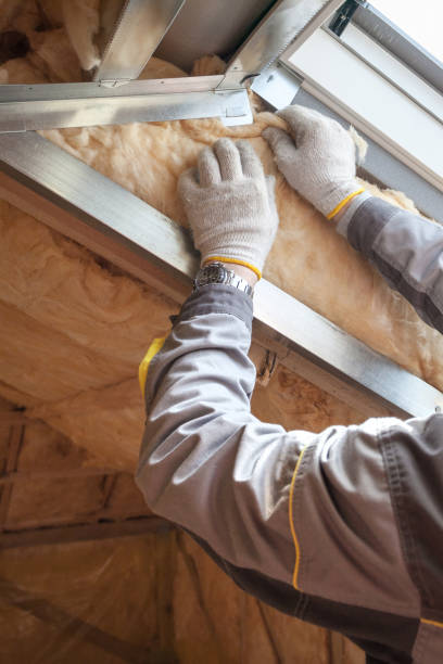 Best Eco-Friendly Insulation in Riverton, IL