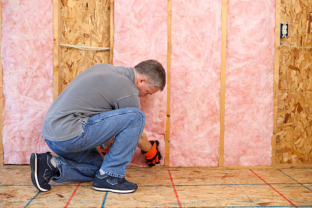 Best Cellulose Insulation in Riverton, IL